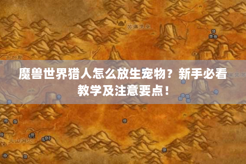 魔兽世界猎人怎么放生宠物？新手必看教学及注意要点！