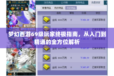 梦幻西游69级玩家终极指南，从入门到精通的全方位解析