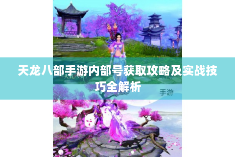 天龙八部手游内部号获取攻略及实战技巧全解析