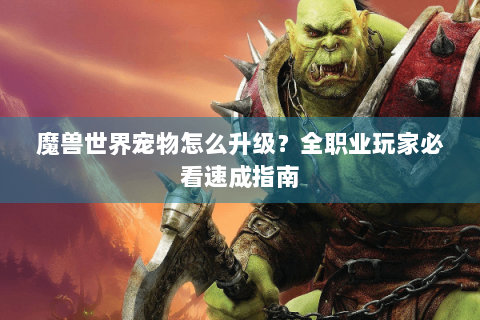 魔兽世界宠物怎么升级？全职业玩家必看速成指南