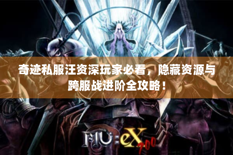 奇迹私服汪资深玩家必看，隐藏资源与跨服战进阶全攻略！