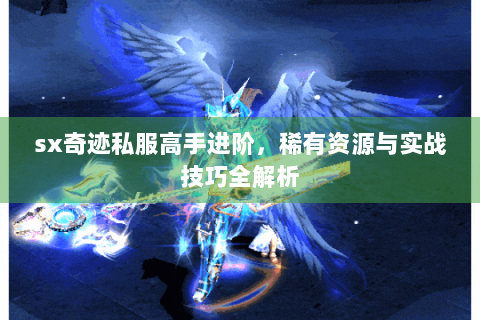sx奇迹私服高手进阶，稀有资源与实战技巧全解析
