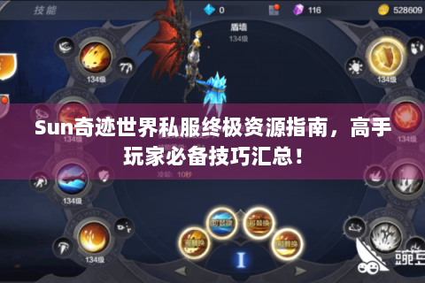 Sun奇迹世界私服终极资源指南，高手玩家必备技巧汇总！