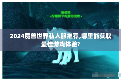 2024魔兽世界私人服推荐,哪里能获取最佳游戏体验?