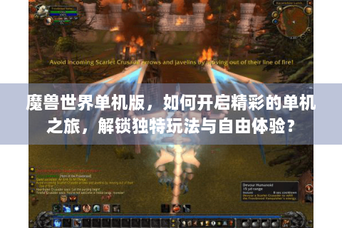 魔兽世界单机版，如何开启精彩的单机之旅，解锁独特玩法与自由体验？