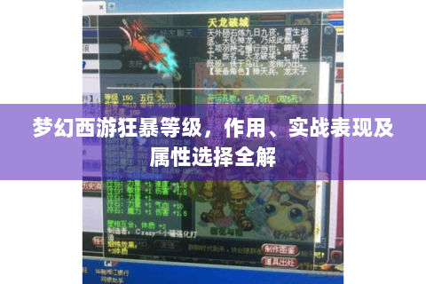 梦幻西游狂暴等级，作用、实战表现及属性选择全解