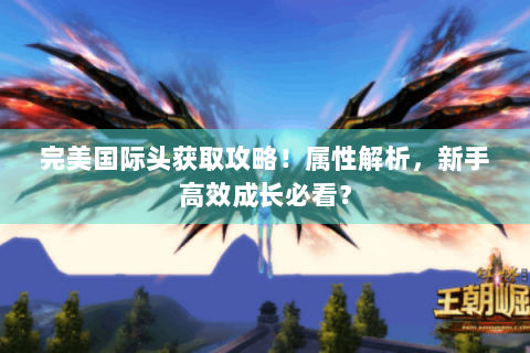 完美国际头获取攻略！属性解析，新手高效成长必看？