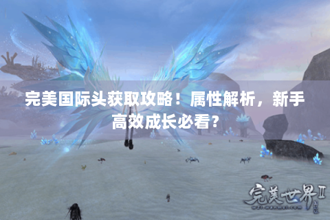 完美国际头获取攻略！属性解析，新手高效成长必看？