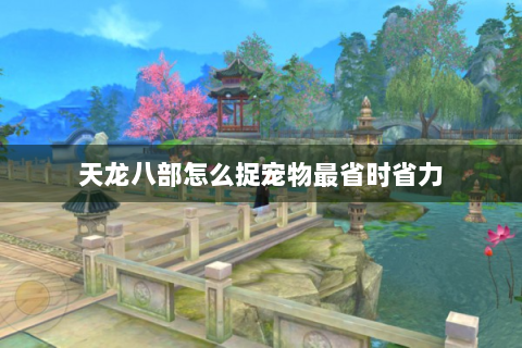 天龙八部怎么捉宠物最省时省力