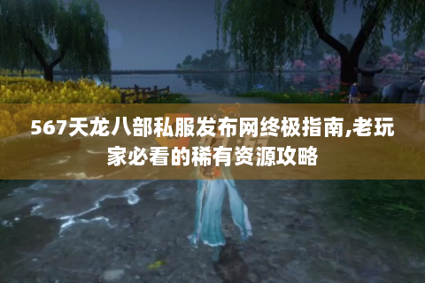 567天龙八部私服发布网终极指南,老玩家必看的稀有资源攻略