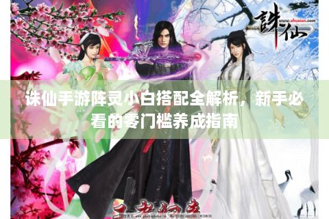 诛仙手游阵灵小白搭配全解析，新手必看的零门槛养成指南