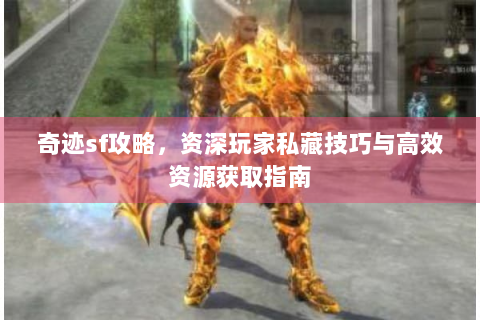 奇迹sf攻略，资深玩家私藏技巧与高效资源获取指南