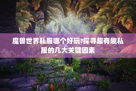 魔兽世界私服哪个好玩?探寻超有趣私服的几大关键因素