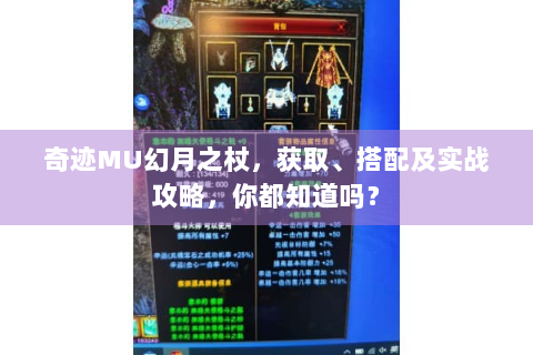奇迹MU幻月之杖，获取、搭配及实战攻略，你都知道吗？
