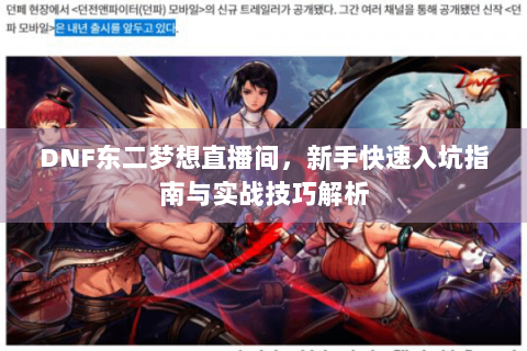DNF东二梦想直播间，新手快速入坑指南与实战技巧解析