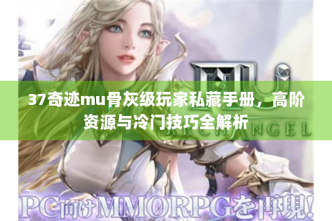 37奇迹mu骨灰级玩家私藏手册，高阶资源与冷门技巧全解析