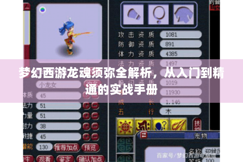 梦幻西游龙魂须弥全解析，从入门到精通的实战手册