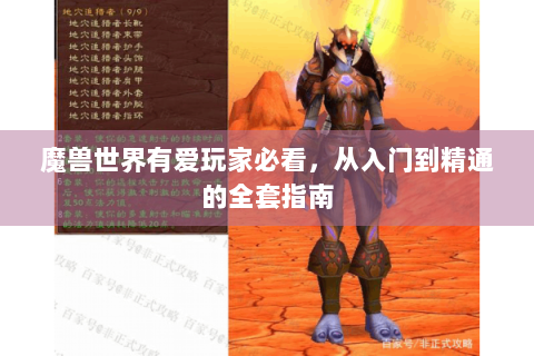 魔兽世界有爱玩家必看，从入门到精通的全套指南