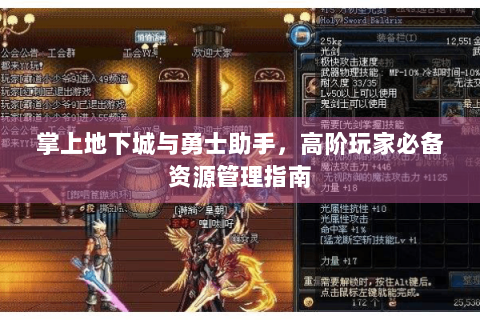 掌上地下城与勇士助手，高阶玩家必备资源管理指南