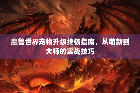 魔兽世界宠物升级终极指南，从萌新到大师的实战技巧