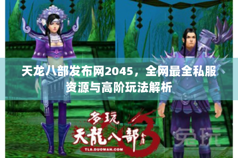 天龙八部发布网2045，全网最全私服资源与高阶玩法解析