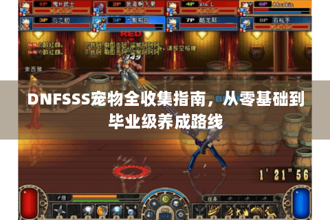 DNFSSS宠物全收集指南，从零基础到毕业级养成路线
