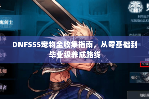 DNFSSS宠物全收集指南，从零基础到毕业级养成路线