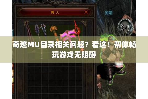 奇迹MU目录相关问题？看这！帮你畅玩游戏无阻碍