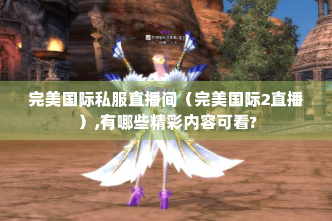 完美国际私服直播间（完美国际2直播）,有哪些精彩内容可看?