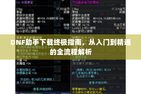 DNF助手下载终极指南，从入门到精通的全流程解析