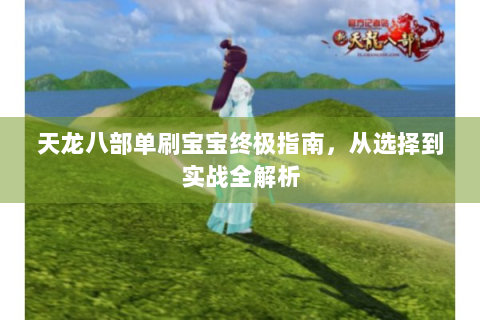 天龙八部单刷宝宝终极指南，从选择到实战全解析