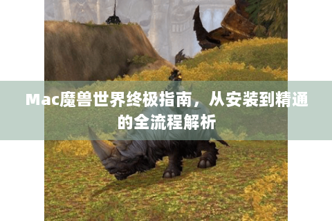 Mac魔兽世界终极指南，从安装到精通的全流程解析