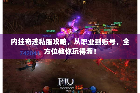 内挂奇迹私服攻略，从职业到账号，全方位教你玩得溜！