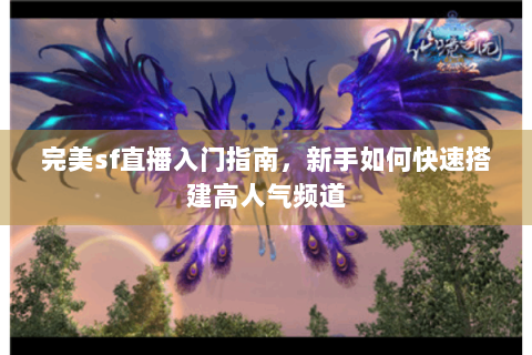 完美sf直播入门指南，新手如何快速搭建高人气频道