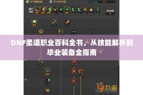 DNF柔道职业百科全书，从技能解析到毕业装备全指南