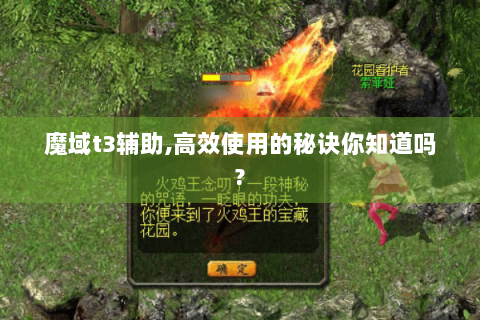 魔域t3辅助,高效使用的秘诀你知道吗?