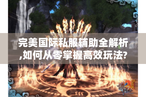 完美国际私服辅助全解析,如何从零掌握高效玩法?