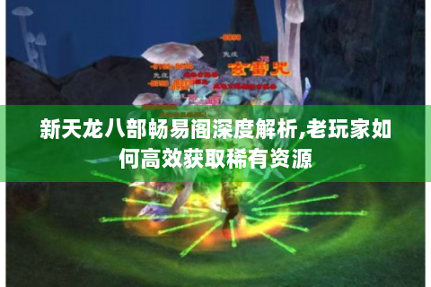 新天龙八部畅易阁深度解析,老玩家如何高效获取稀有资源