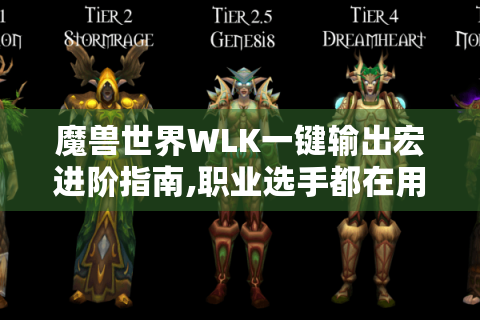 魔兽世界WLK一键输出宏进阶指南,职业选手都在用的核心技巧