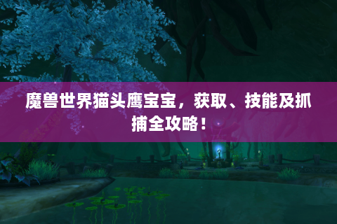 魔兽世界猫头鹰宝宝，获取、技能及抓捕全攻略！
