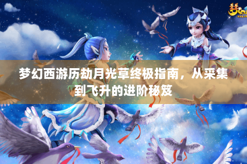 梦幻西游历劫月光草终极指南，从采集到飞升的进阶秘笈