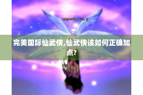 完美国际仙武侠,仙武侠该如何正确加点?