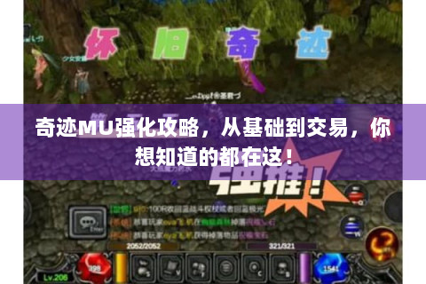 奇迹MU强化攻略，从基础到交易，你想知道的都在这！