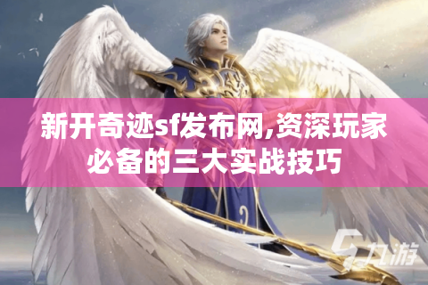 新开奇迹sf发布网,资深玩家必备的三大实战技巧