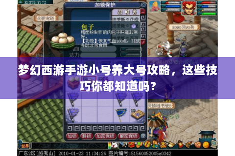 梦幻西游手游小号养大号攻略，这些技巧你都知道吗？