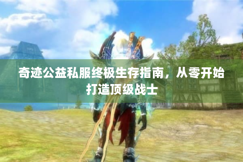 奇迹公益私服终极生存指南，从零开始打造顶级战士