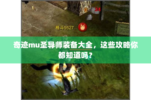 奇迹mu圣导师装备大全，这些攻略你都知道吗？