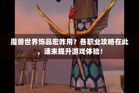 魔兽世界饰品宏咋用？各职业攻略在此，速来提升游戏体验！