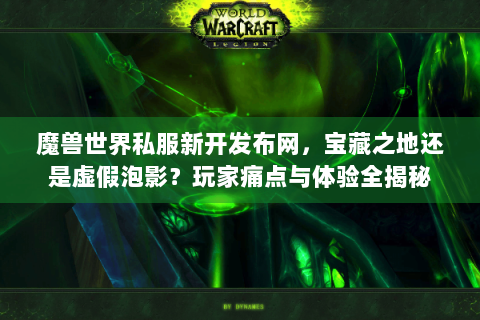 魔兽世界私服新开发布网，宝藏之地还是虚假泡影？玩家痛点与体验全揭秘