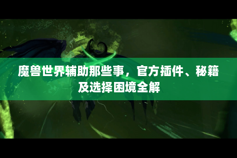 魔兽世界辅助那些事，官方插件、秘籍及选择困境全解